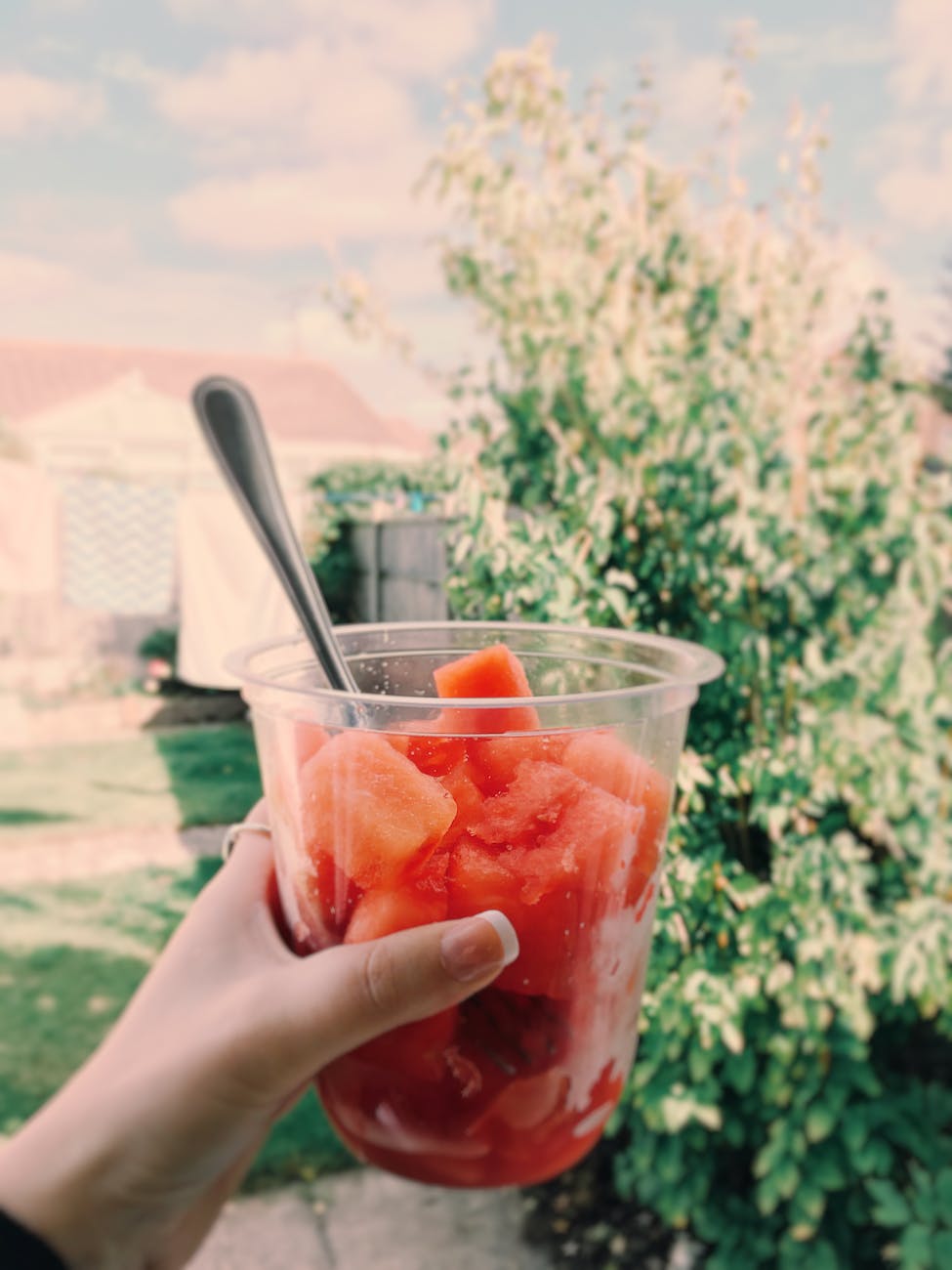 LIFE IN A GLASS 2 person holding cup with fresh watermelon fruit as life in a glass