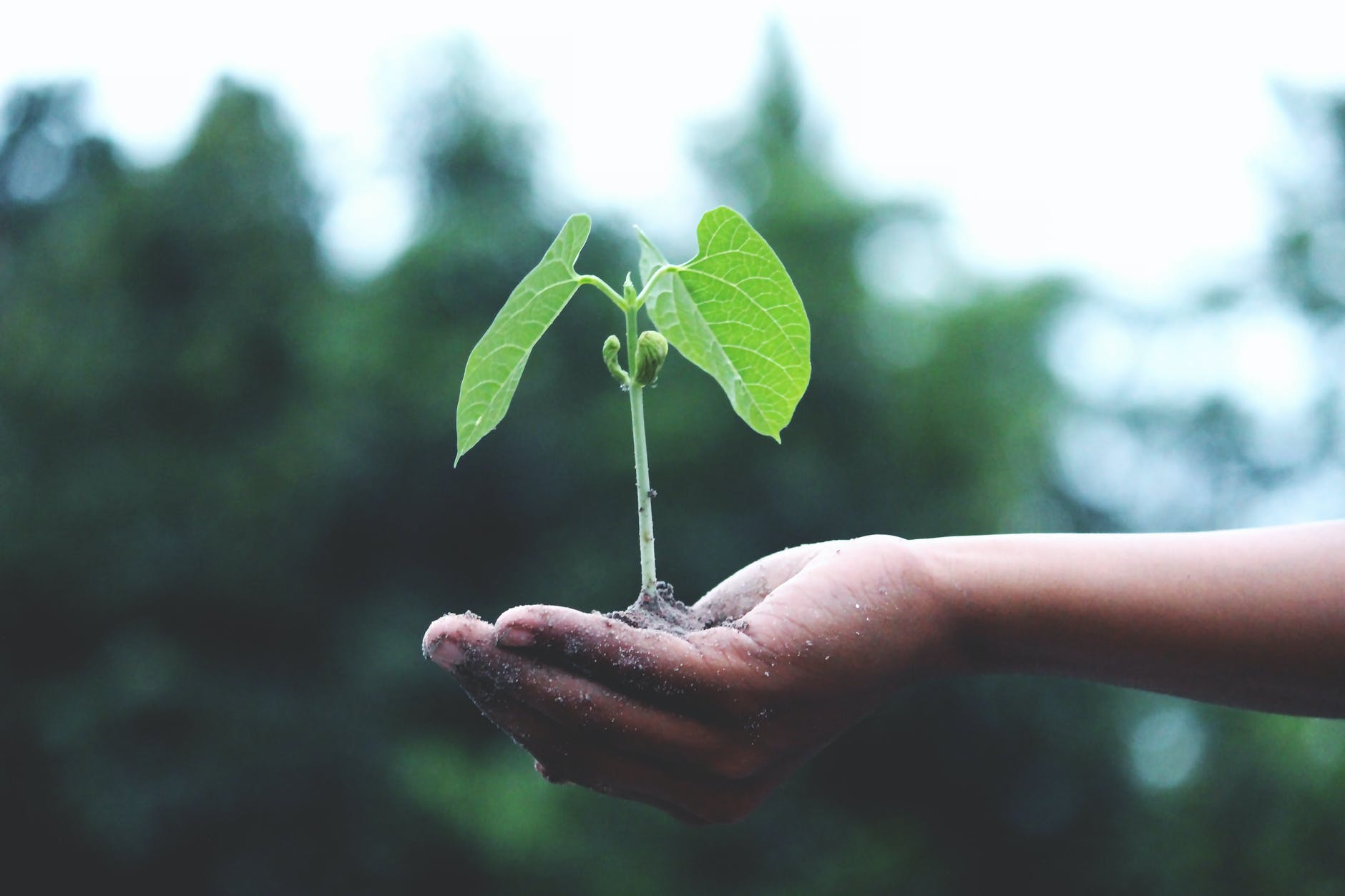 GROW… DON’T BE STATIC
