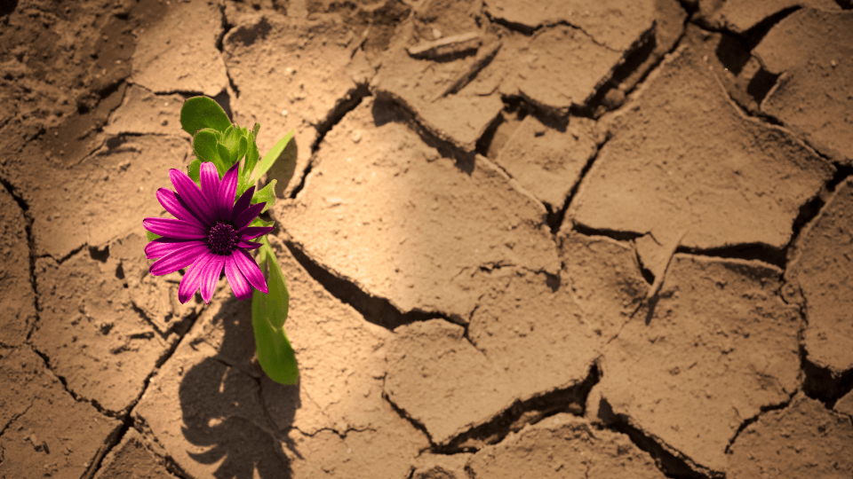 LETTING GO OF DIFFICULT SITUATIONS 4 LETTING GO OF DIFFICULT SITUATIONS